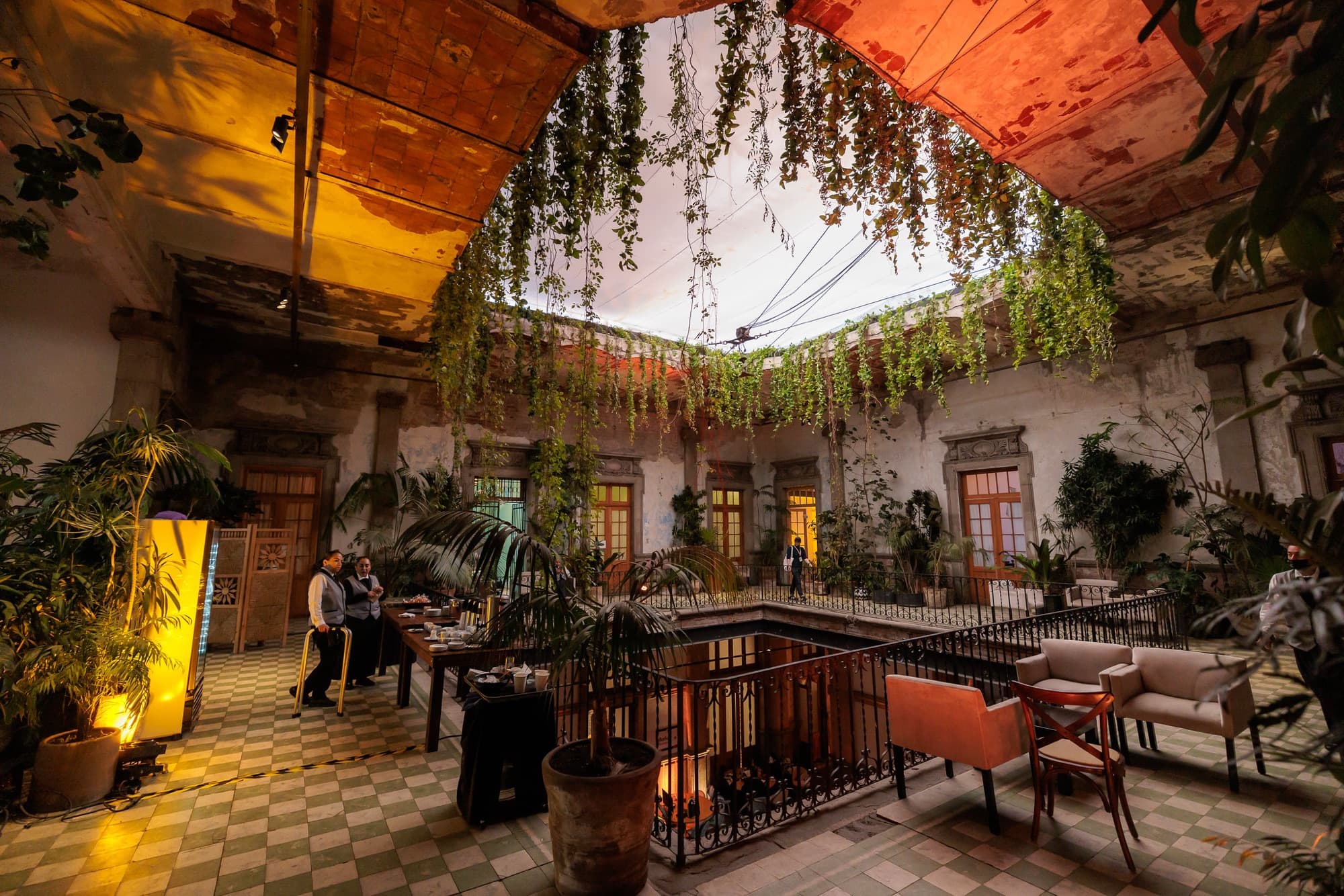A plant-filled courtyard lounge with warm lighting and seating